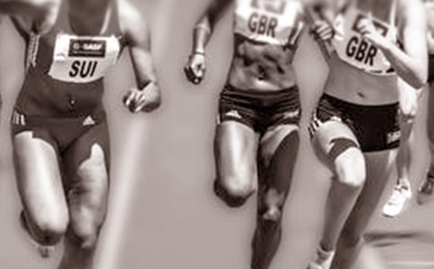 ϲ2008˻Ȩ̰ (꼶ϲ)