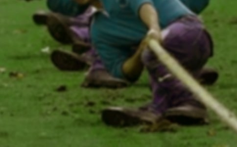 (热门)拔河小学作文