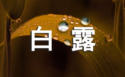 《日出》陈白露形象分析