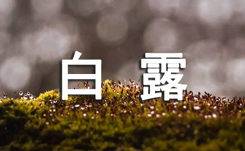 白露说明文