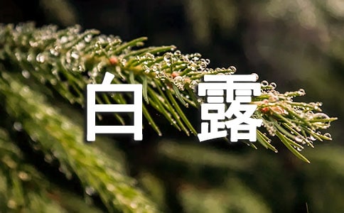 蒹葭苍苍,白露为霜,所谓伊人,在水一方----我理想的课堂(苏教版教学反思)