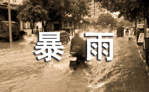 《在烈日和暴雨下》