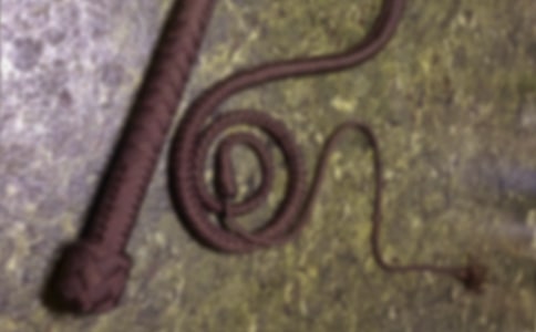 放下你的鞭子教学设计及反思