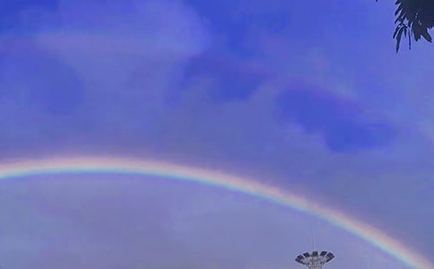 彩虹行动首届艺术课教学总结