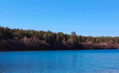 美丽的长白山说课稿