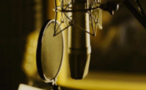 舒婷《会唱歌的鸢尾花》导读