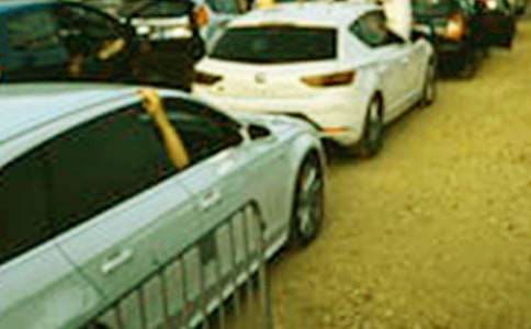 奇妙车展行大班教案