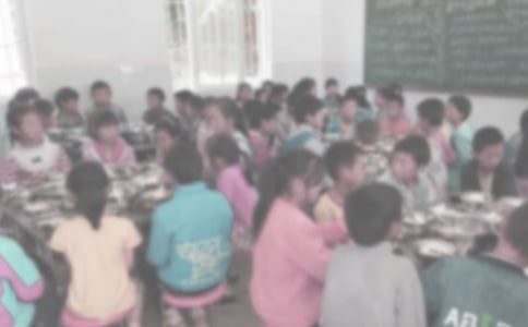 托班小花猫自己吃饭教案