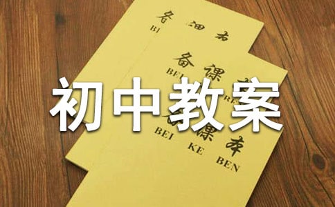 芦花荡初中教案