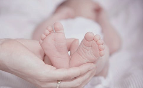 出生的秘密大班教案