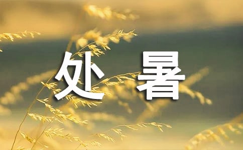 学校处暑节气活动总结