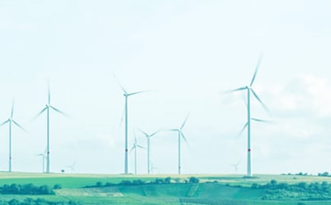 《青春风采》说课稿范文