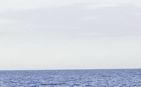 美丽的大海周记