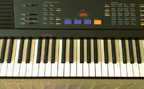 中班电子琴兴趣小组内容