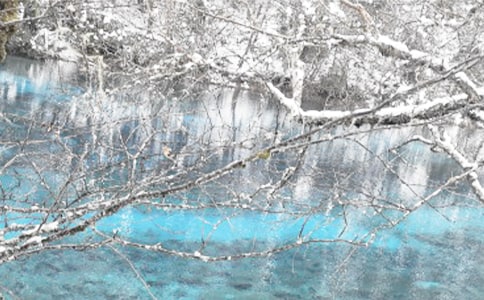 《漫长的冬季》读后感