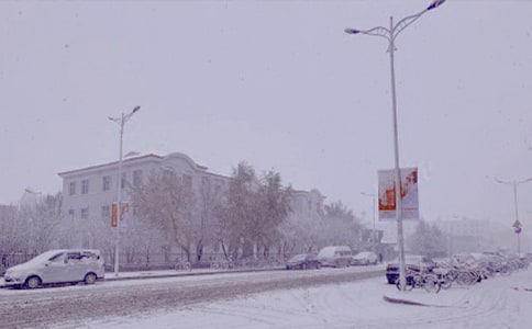 实用的冬日写景作文300字三篇