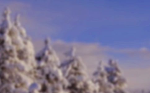 寒冷的冬天日记