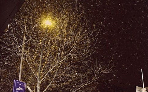 《冬天之美》教案