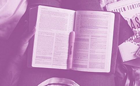 笑猫日记读后感集锦15篇