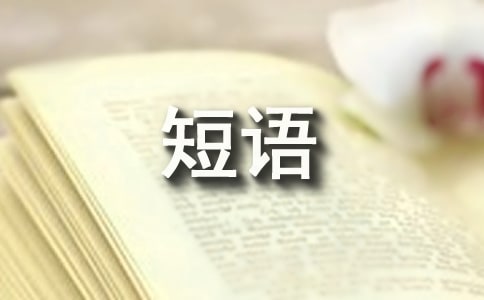 短语专项训练