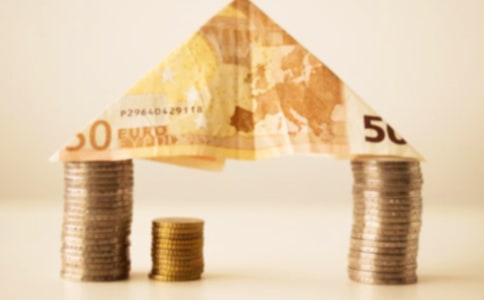 发财树观察日记4篇