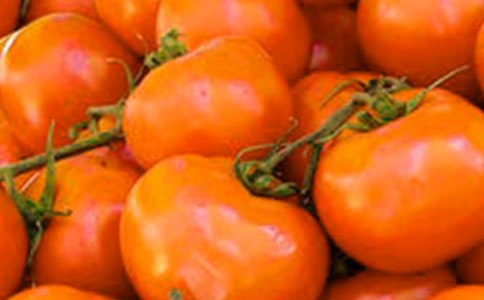 小番茄成长日记