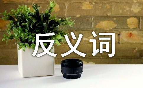 反义词教案