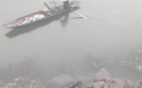 综合性学习:科海泛舟 教案教学设计