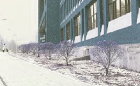 é®ָֽͷѩɽҩĵ