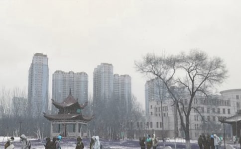 林教头风雪山神庙 教案教学设计