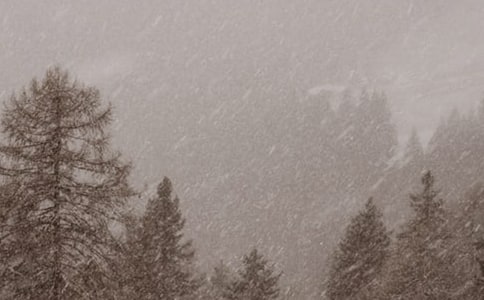 ֽͷѩɽѧʵ¼ (˽̰߶)