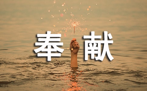 责任与奉献心得体会