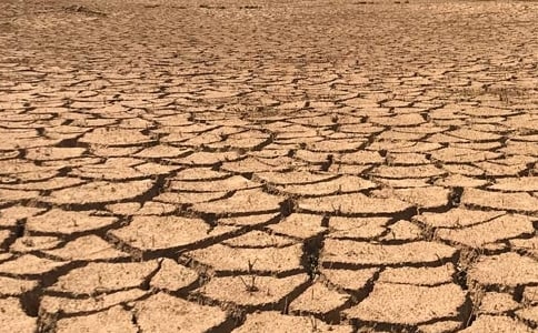 干旱季节高温天气森林防火工作方案