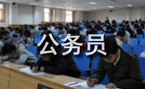 公务员执行情况自查报告