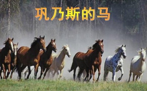 《巩乃斯的马》教学反思