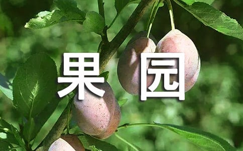 《果园机器人》教学反思