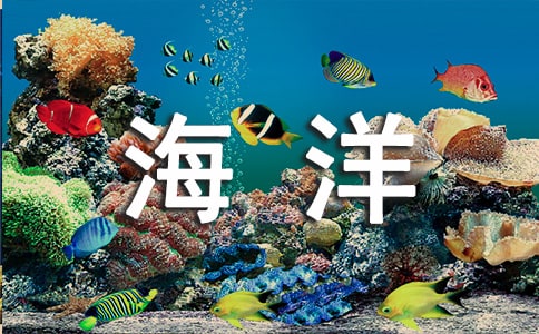 《海洋天堂》观后感
