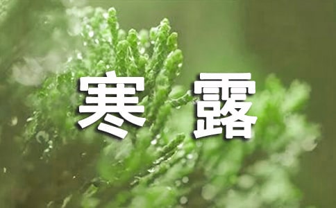 寒露节气教案