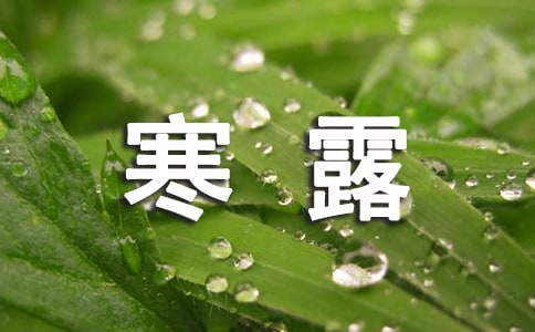 《寒露》教案