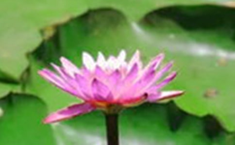 [ѡ]˽̰桶ɻ˵θ5ƪ