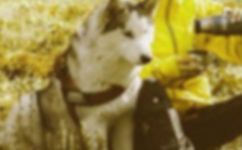 说谢能和谐 学生作文范文(人教版八年级上册)