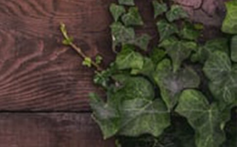 《提升学生素质、构建和谐班级》 班级管理心得体会(高二)