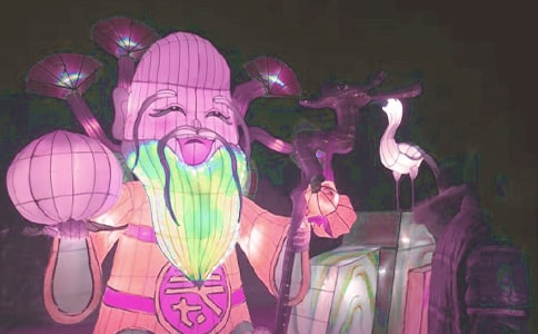 关于看花灯日记范文集锦5篇