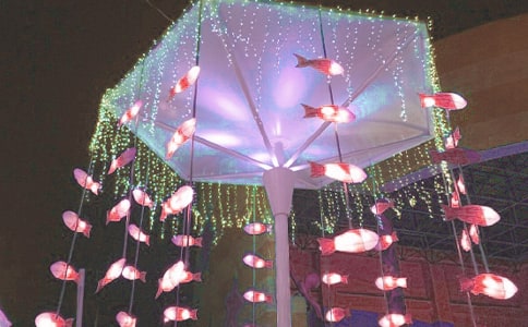 【精选】看花灯日记4篇