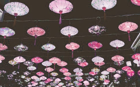 【精选】看花灯日记三篇