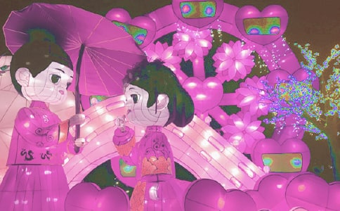 【精选】看花灯日记四篇