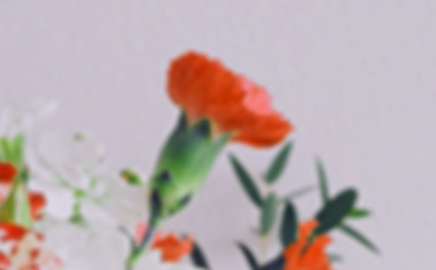 行走的花朵--冯至的《蛇》及其他