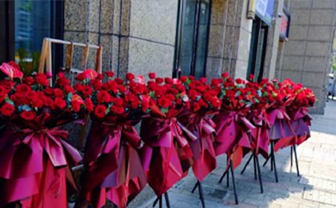 《梦姐姐的花篮》的教案范文