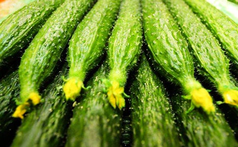 小班科学西红柿和小黄瓜教案