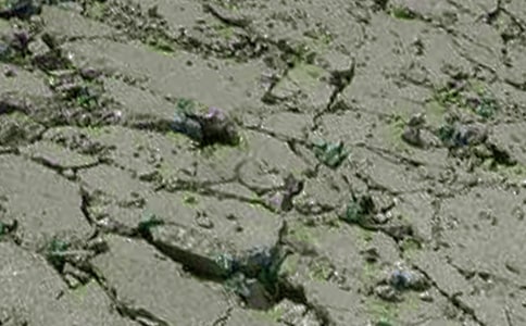 混凝土泵车租赁合同精选7篇